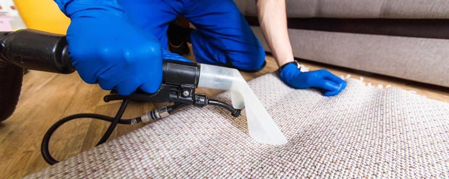 Carpet Cleaning St. Charles IL