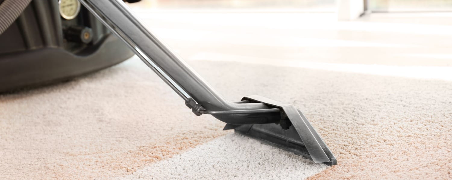 Carpet Cleaning South Elgin IL