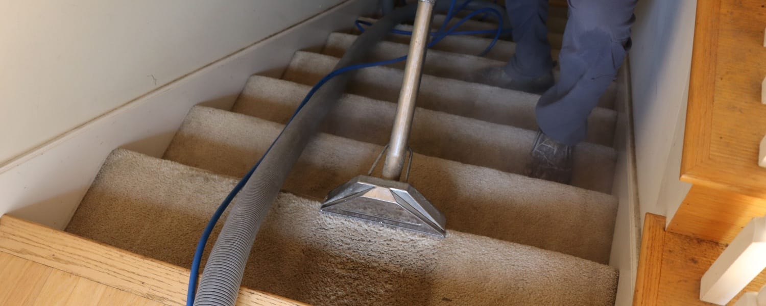 Professional Carpet Cleaners Bartlett IL