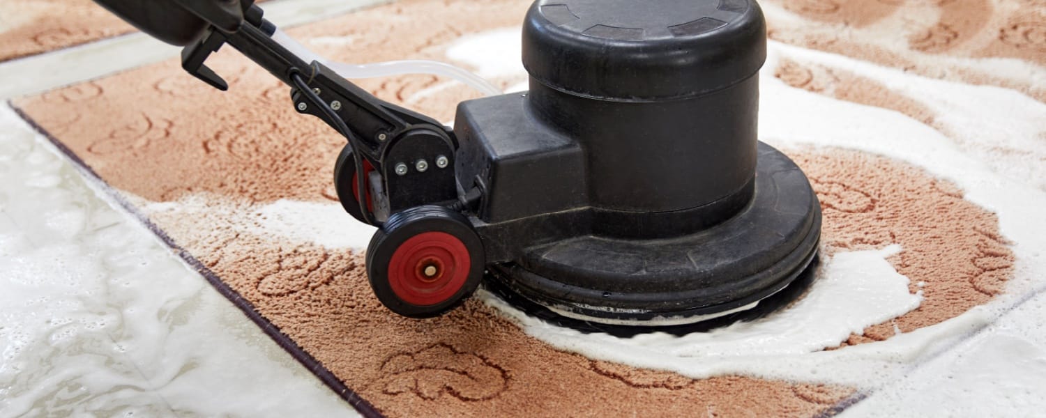 South Elgin IL Area Rug Cleaners