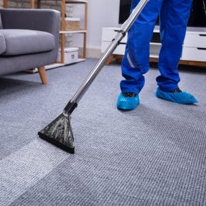 contact hayward rug cleaners (1)